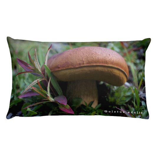 Fungi Pillow - Bolete and Amanita
